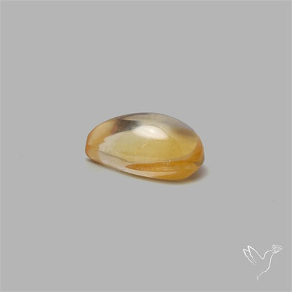 Bicolor Citrine Cabochon High Domed