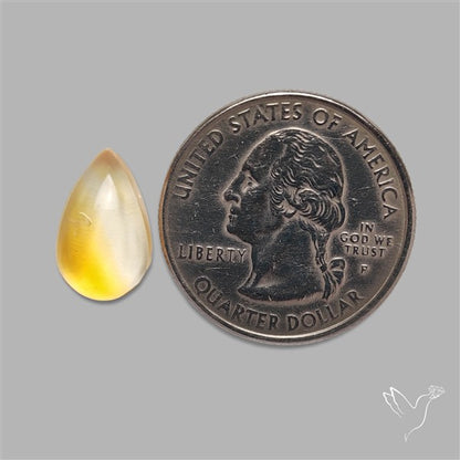 Bicolor Citrine Cabochon High Domed