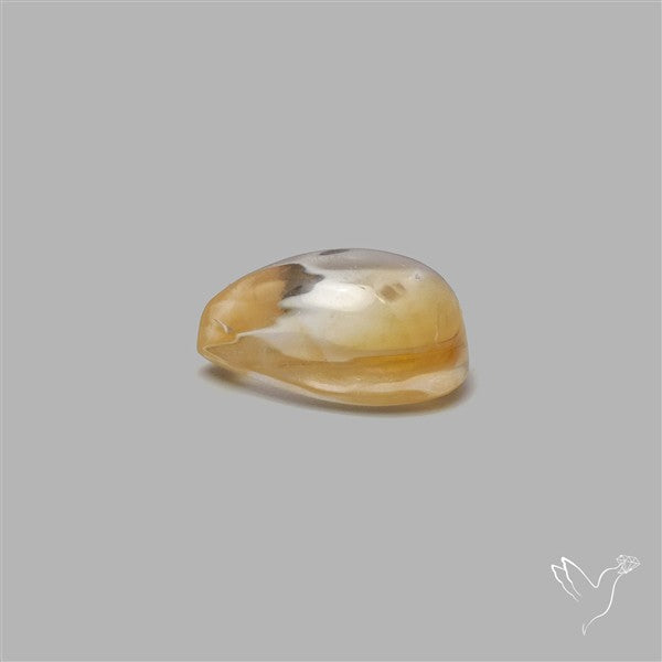 Bicolor Citrine Cabochon High Domed