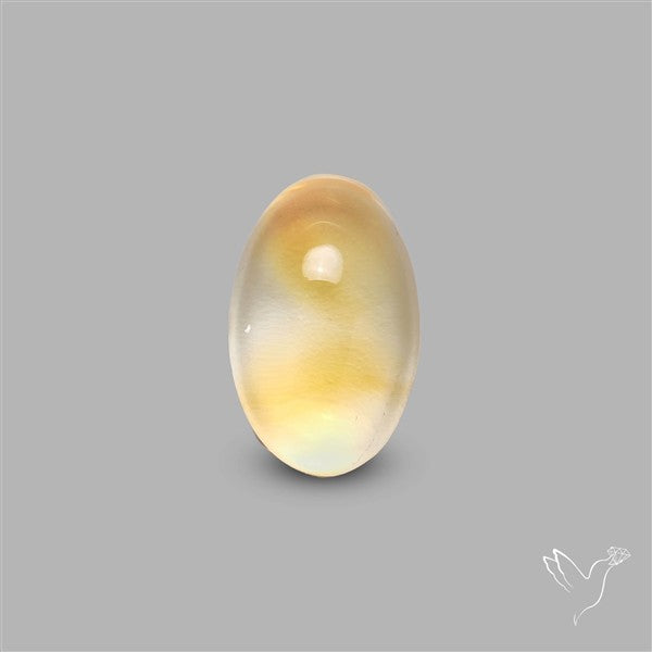 Bicolor Citrine Cabochon High Domed