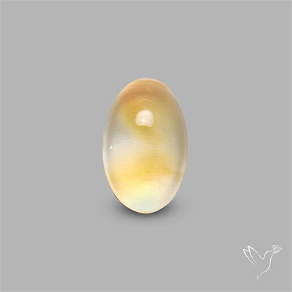 Bicolor Citrine Cabochon High Domed