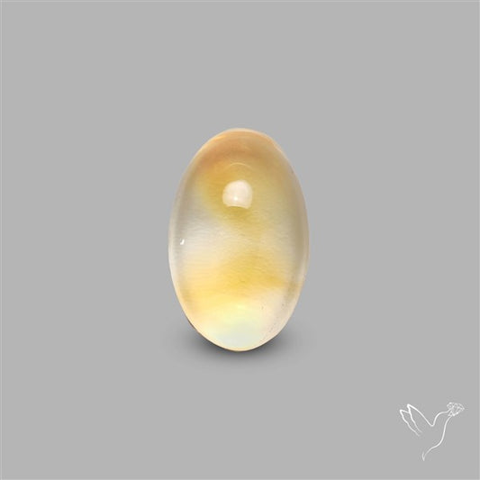 Bicolor Citrine Cabochon High Domed