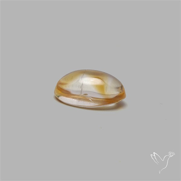 Bicolor Citrine Cabochon High Domed