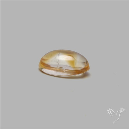 Bicolor Citrine Cabochon High Domed