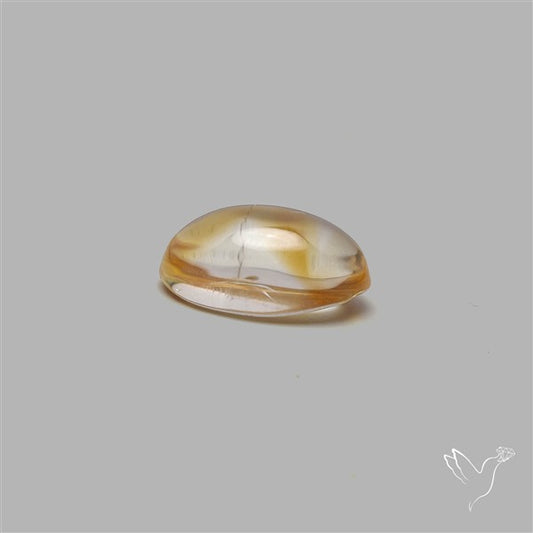 Bicolor Citrine Cabochon High Domed