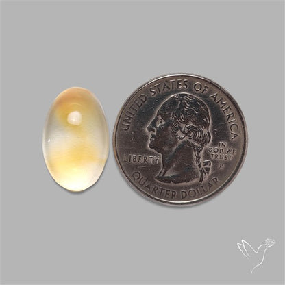 Bicolor Citrine Cabochon High Domed