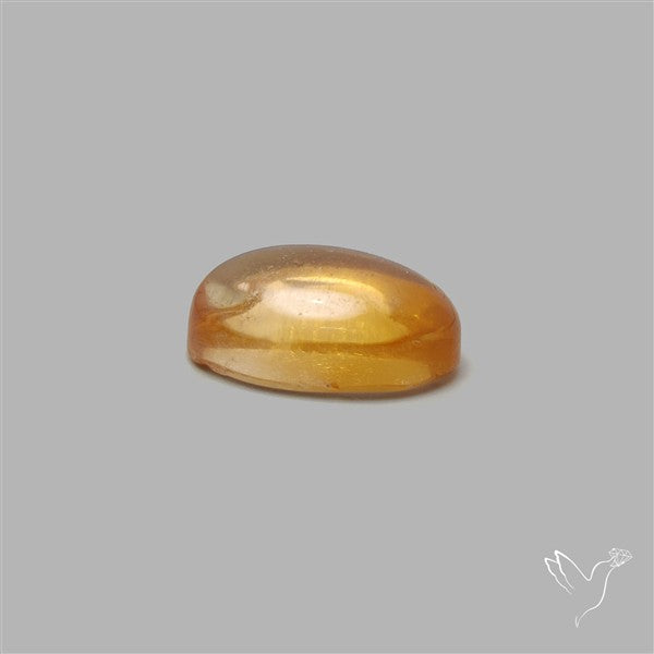 Bicolor Citrine Cabochon High Domed