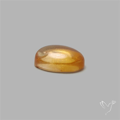 Bicolor Citrine Cabochon High Domed