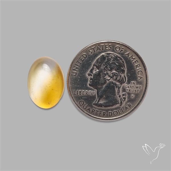 Bicolor Citrine Cabochon High Domed
