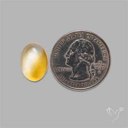 Bicolor Citrine Cabochon High Domed