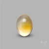 Bicolor Citrine Cabochon High Domed