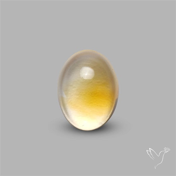 Bicolor Citrine Cabochon High Domed
