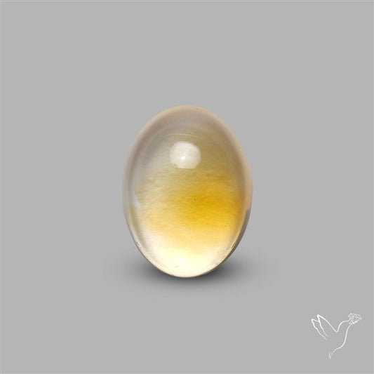 Bicolor Citrine Cabochon High Domed