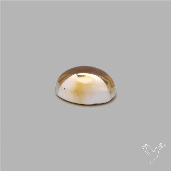 Bicolor Citrine Cabochon High Domed