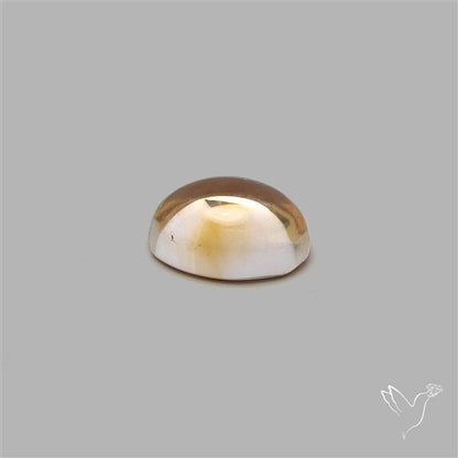Bicolor Citrine Cabochon High Domed