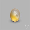 Bicolor Citrine Cabochon High Domed