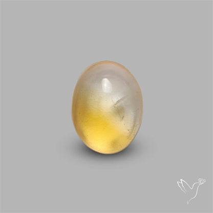 Bicolor Citrine Cabochon High Domed