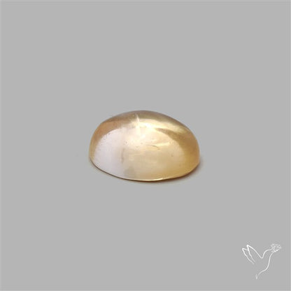 Bicolor Citrine Cabochon High Domed