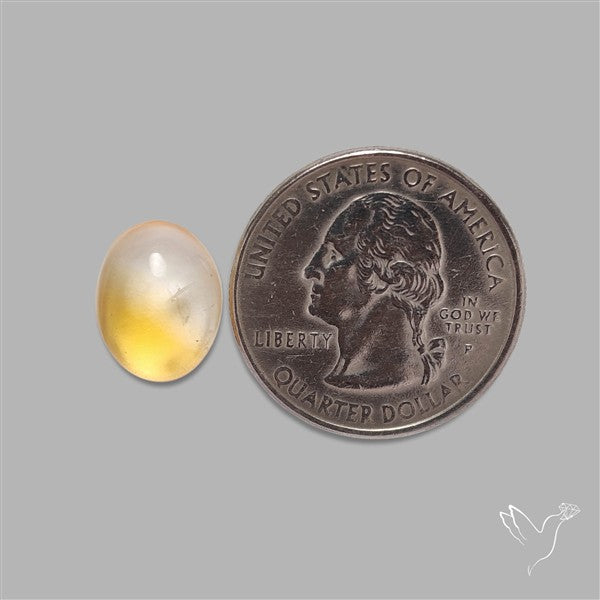 Bicolor Citrine Cabochon High Domed