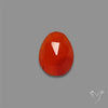 Rose Cut Carnelian Agate
