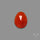 Rose Cut Carnelian Agate
