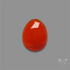 Rose Cut Carnelian Agate