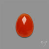Rose Cut Carnelian Agate