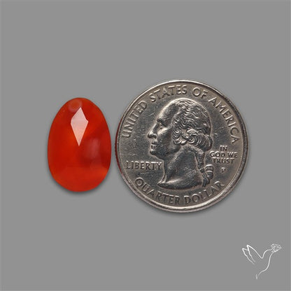 Rose Cut Carnelian Agate