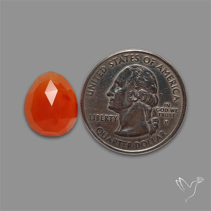 Rose Cut Carnelian Agate