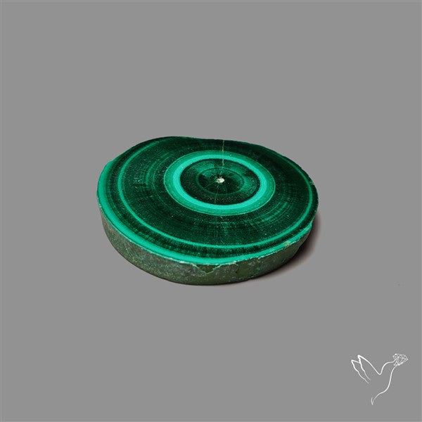 Rare Malachite Stalactite Slice Freeform Raw Edges