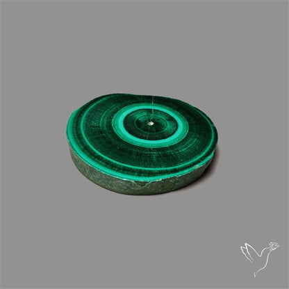 Rare Malachite Stalactite Slice Freeform Raw Edges