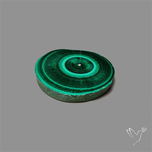 Rare Malachite Stalactite Slice Freeform Raw Edges