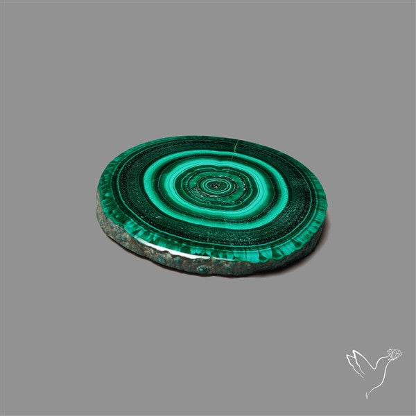 Rare Malachite Stalactite Slice Freeform Raw Edges
