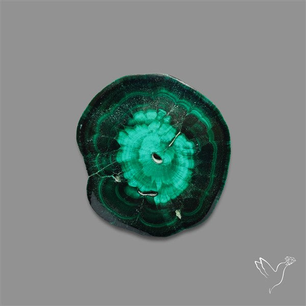 Rare Malachite Stalactite Slice Freeform Raw Edges