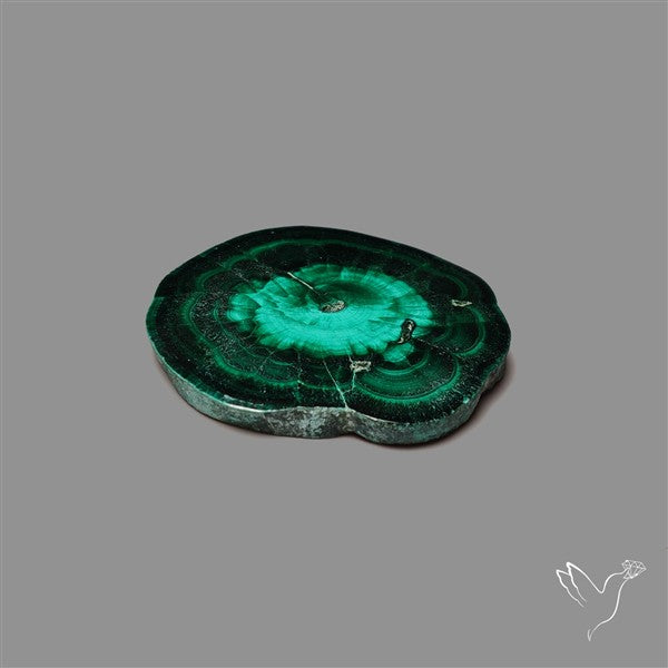 Rare Malachite Stalactite Slice Freeform Raw Edges