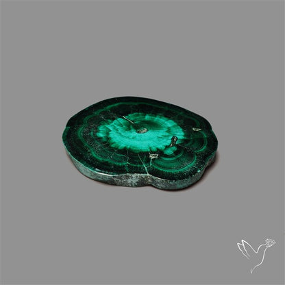 Rare Malachite Stalactite Slice Freeform Raw Edges