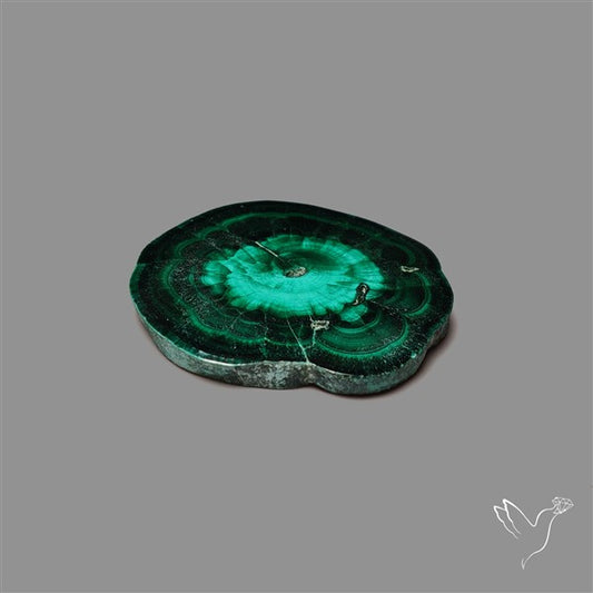 Rare Malachite Stalactite Slice Freeform Raw Edges
