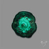 Rare Malachite Stalactite Slice Freeform Raw Edges