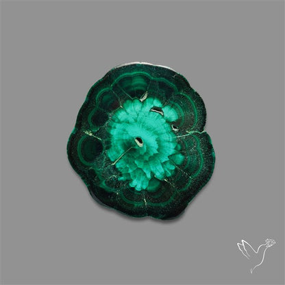 Rare Malachite Stalactite Slice Freeform Raw Edges
