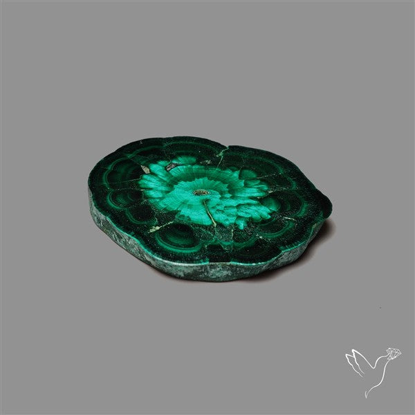 Rare Malachite Stalactite Slice Freeform Raw Edges