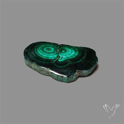 Rare Malachite Stalactite Slice Freeform Raw Edges