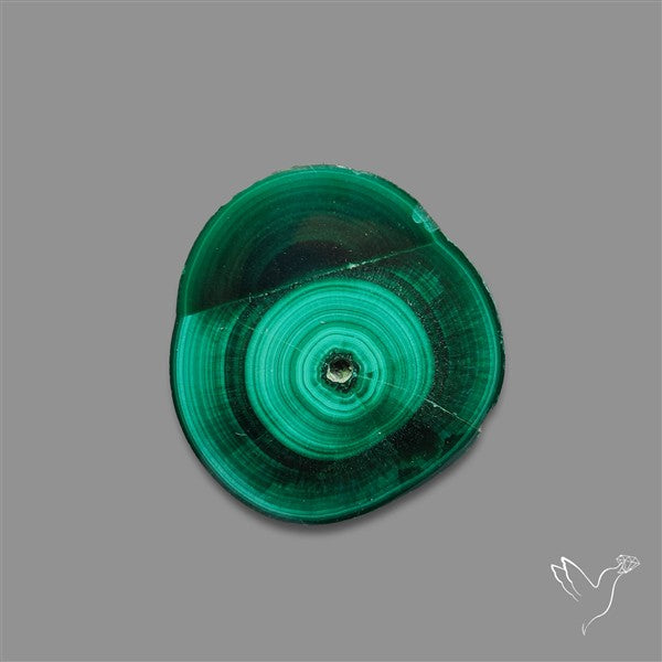 Rare Malachite Stalactite Slice Freeform Raw Edges