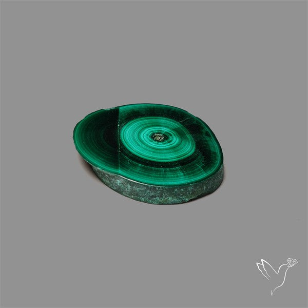 Rare Malachite Stalactite Slice Freeform Raw Edges