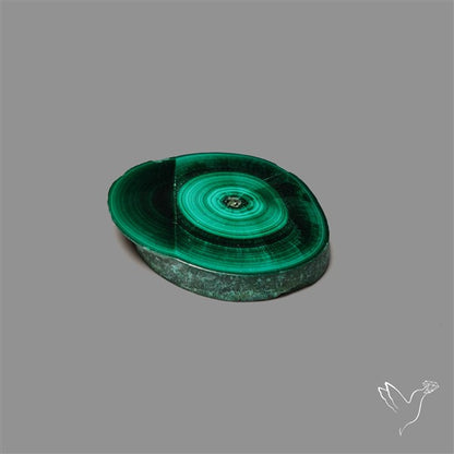 Rare Malachite Stalactite Slice Freeform Raw Edges