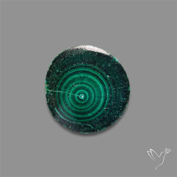 Rare Malachite Stalactite Slice Freeform Raw Edges