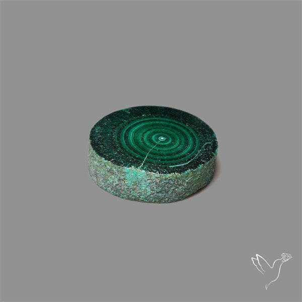 Rare Malachite Stalactite Slice Freeform Raw Edges