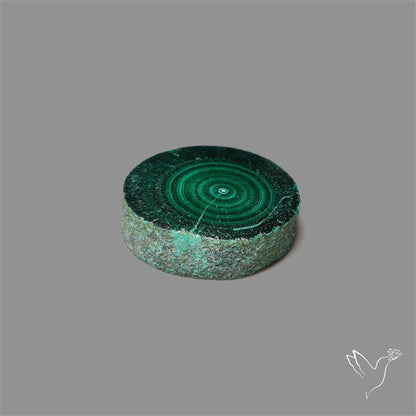 Rare Malachite Stalactite Slice Freeform Raw Edges