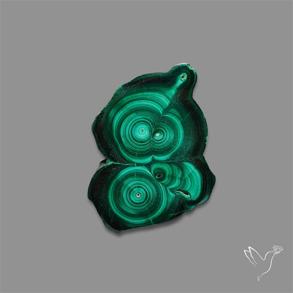 Rare Malachite Stalactite Slice Freeform Raw Edges