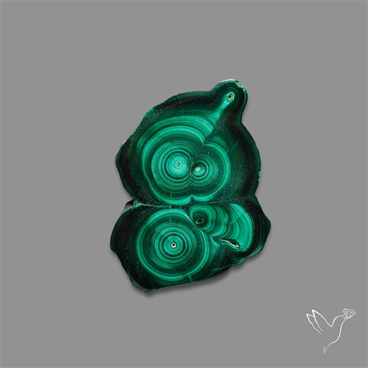 Rare Malachite Stalactite Slice Freeform Raw Edges