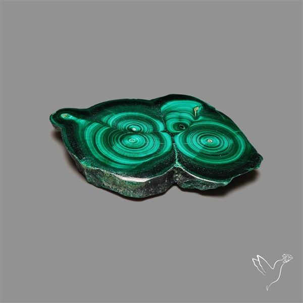 Rare Malachite Stalactite Slice Freeform Raw Edges